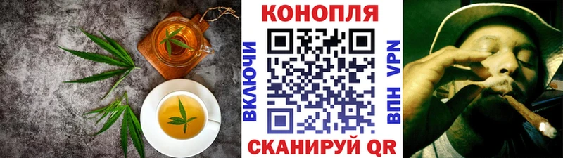 Cannafood конопля где можно купить Елизаветинская