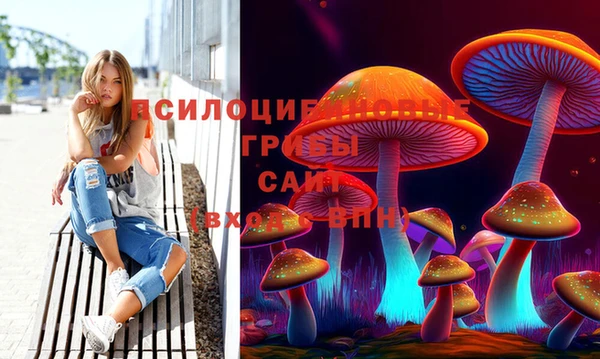 мдма Лагань
