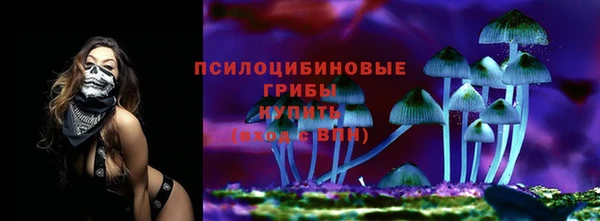 герыч Ладушкин