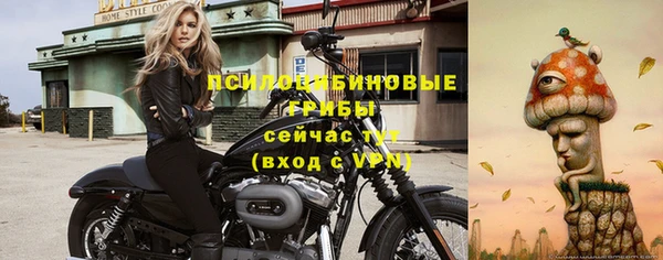 герыч Ладушкин