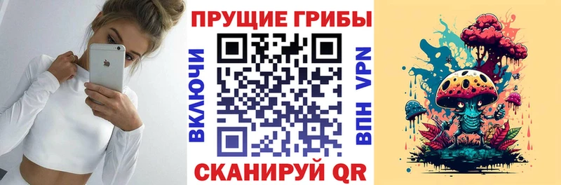 Псилоцибиновые грибы прущие грибы  ссылка на мегу зеркало  Елизаветинская 