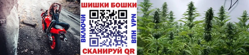 Бошки Шишки план  Елизаветинская 